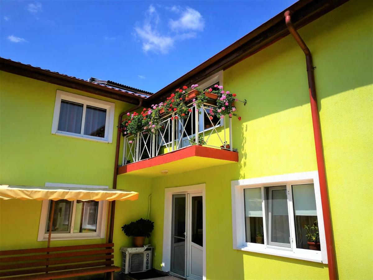 Casa Nelu Pescaru Hotel Mahmudia Exterior foto